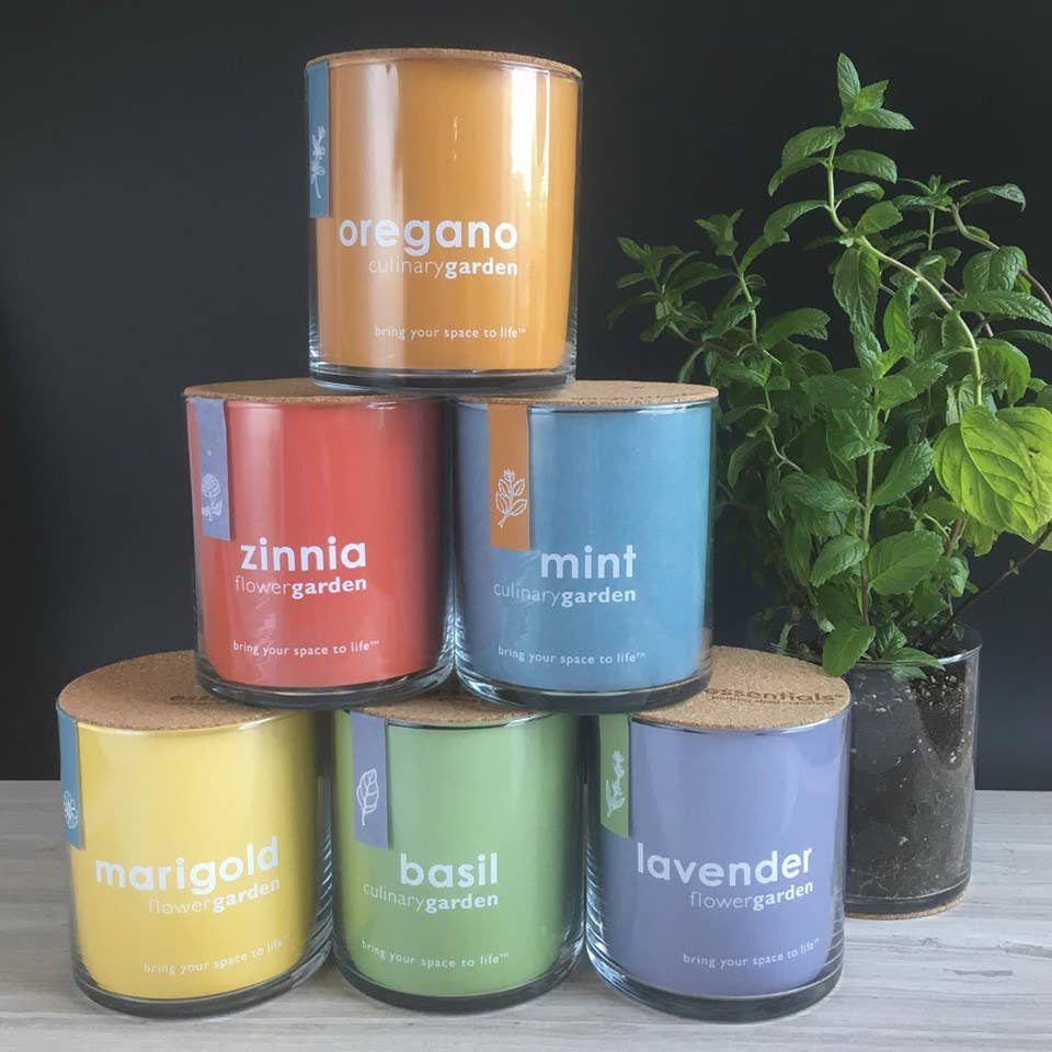 Indoor Culinary Garden | Basil